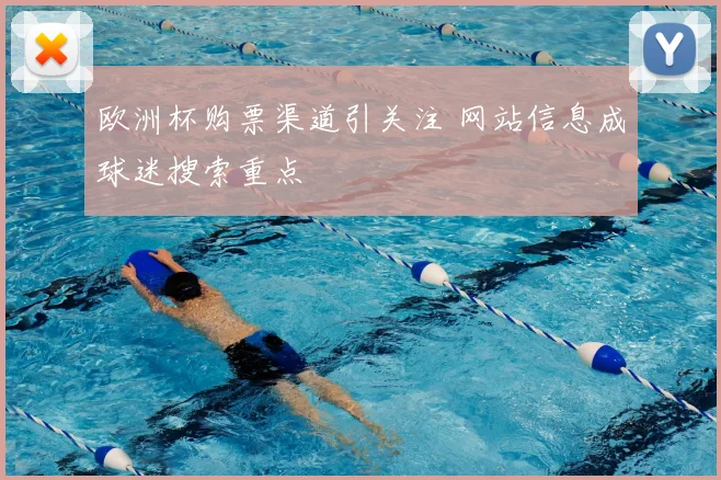 欧洲杯购票渠道引关注 网站信息成球迷搜索重点