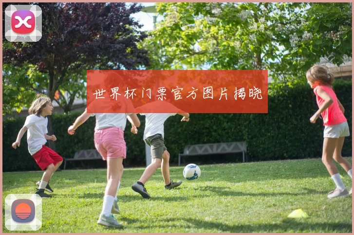 世界杯门票官方图片揭晓