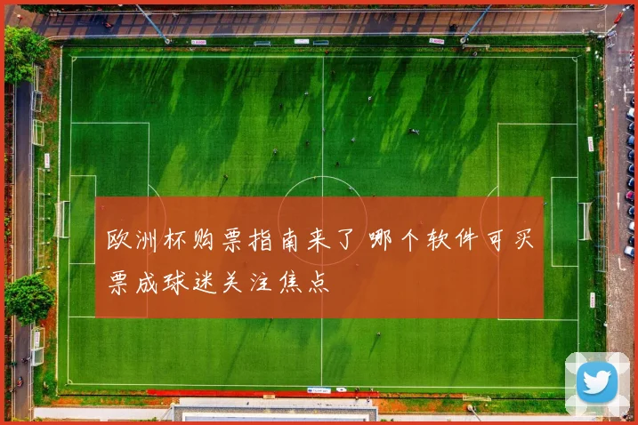 欧洲杯购票指南来了 哪个软件可买票成球迷关注焦点