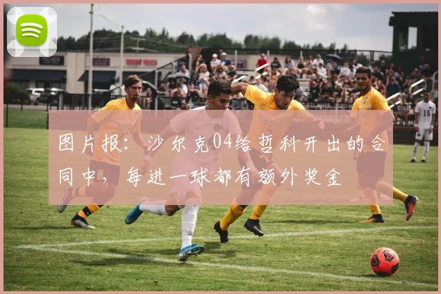 图片报：沙尔克04给哲科开出的合同中，每进一球都有额外奖金