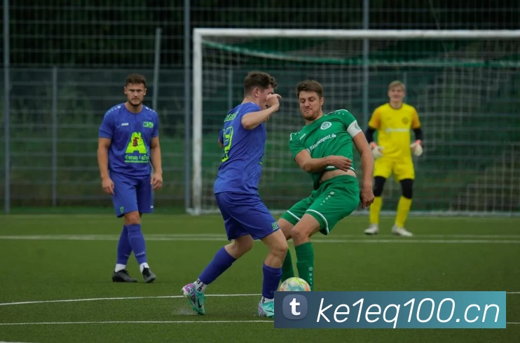 九游体育官网网页入口平台生态图